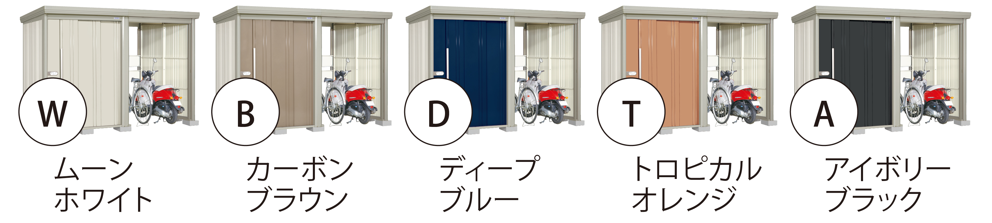 色は5色から選べます